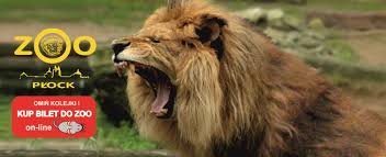 Wycieczka do płockiego ZOO i centrum zabaw 