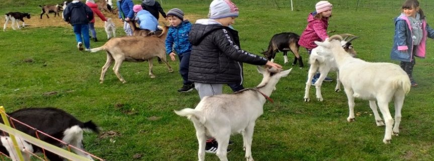 Wycieczka do gospodarstwa ekologicznego w Grzybowie