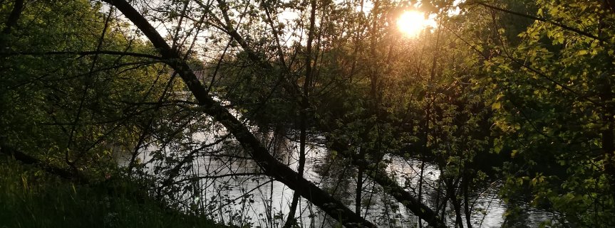 Prace uczniów z Nowej Suchej na konkurs fotograficzny.